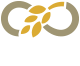 GDG